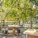 住宿加早餐酒店 Miskar 3*