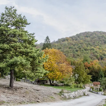 Bed & Breakfast Miskar 3*