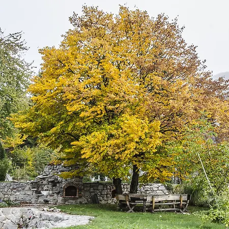 فندق مبيت وإفطار Miskar 3*