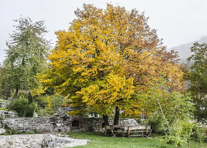 Bed & Breakfast Miskar 3*