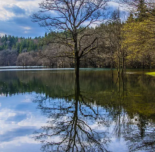 Bed & Breakfast Miskar